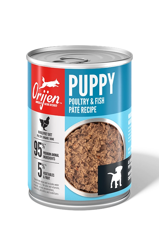 ORIJEN Premium Wet Dog Puppy Front
